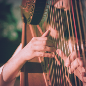 Compose Harp Membership - Danielle Kuntz